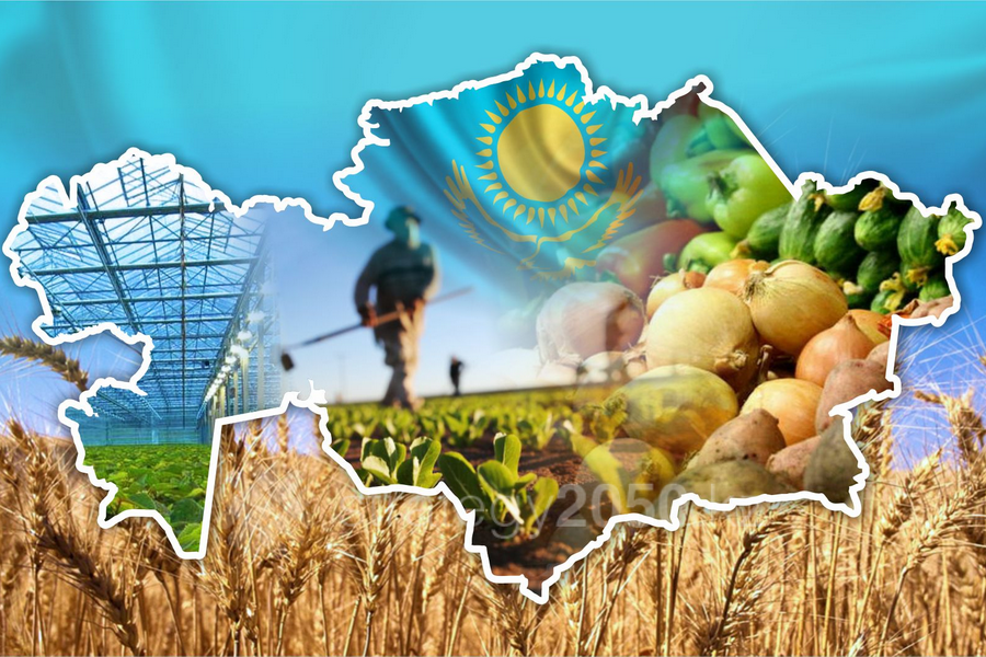 Агропром Казахстана – «луковое горе» страны