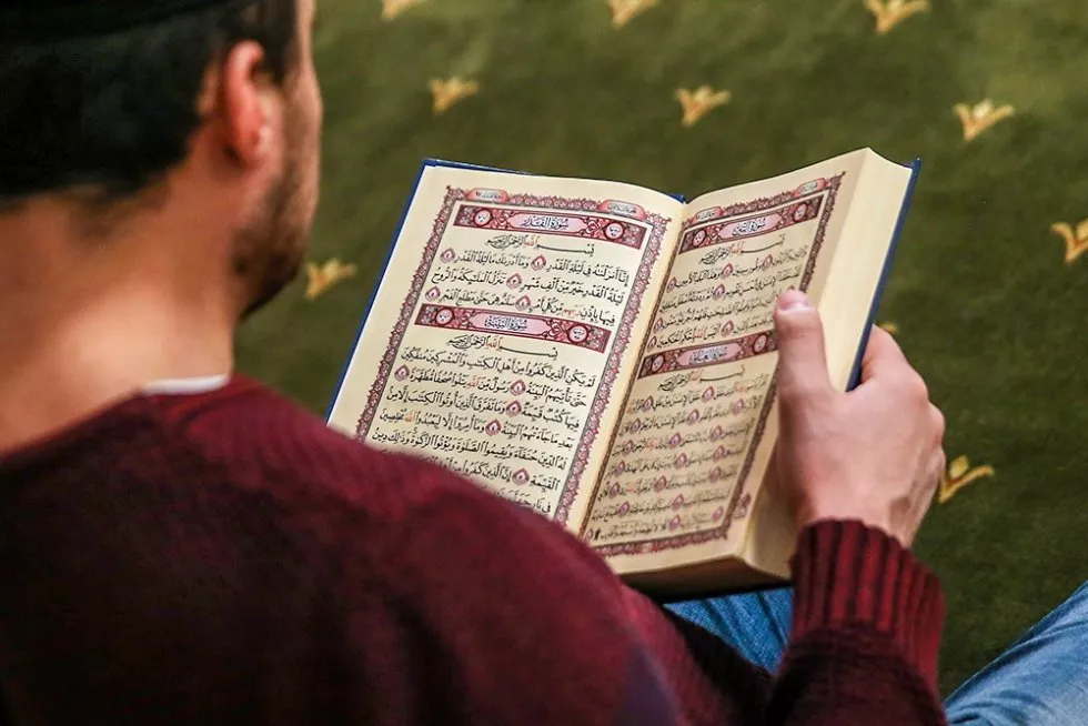 Мусульмане мира осудили провокацию украинских нацистов с сожжением Корана